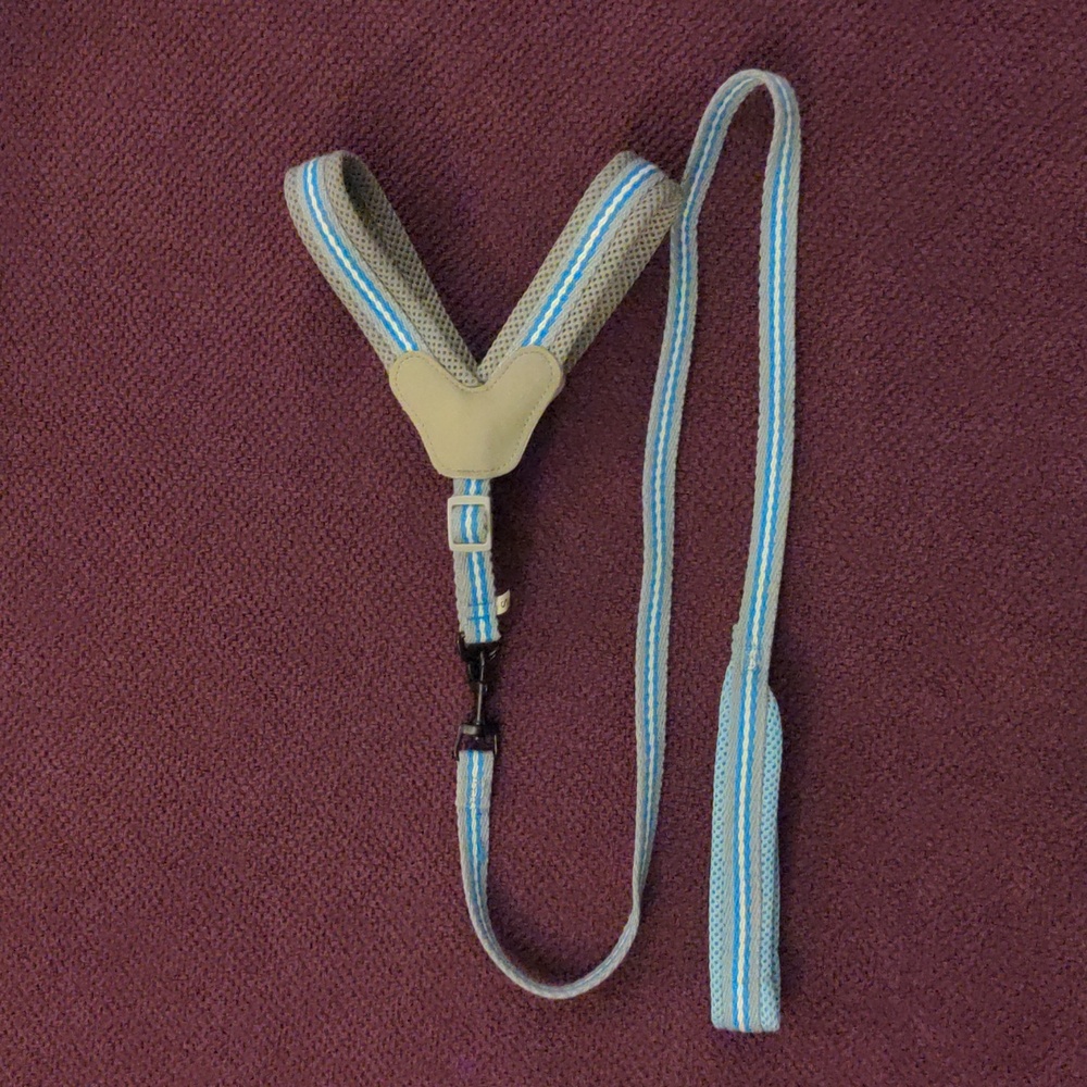 SOLD: The Most Easy to Control Adjustable Dog Harness & Leash Set - Blue